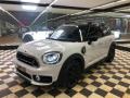 usato MINI Countryman