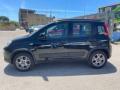 usato FIAT Panda