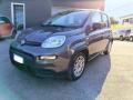 usato FIAT Panda
