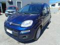 usato FIAT Panda