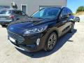usato FORD Kuga