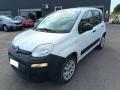 usato FIAT Panda