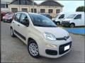 usato FIAT Panda