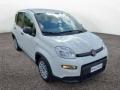 usato FIAT Panda