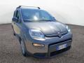 usato FIAT Panda