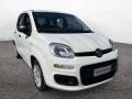 usato FIAT Panda