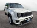 usato JEEP Renegade
