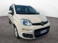 usato FIAT Panda
