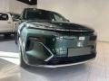usato GEELY Starray EM i