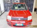 usato FIAT Panda