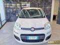 usato FIAT Panda