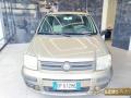 usato FIAT Panda