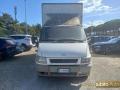 usato FORD Transit