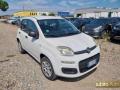 usato FIAT Panda