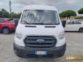 usato FORD Transit