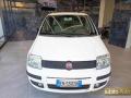 usato FIAT Panda