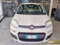 usato FIAT Panda