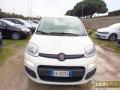 usato FIAT Panda