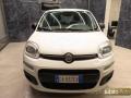 usato FIAT Panda