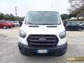 usato FORD Transit