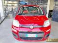usato FIAT Panda