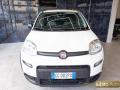 usato FIAT Panda