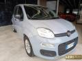 usato FIAT Panda