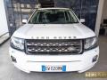 usato LAND ROVER Freelander