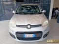 usato FIAT Panda
