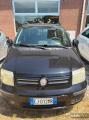 usato FIAT Panda