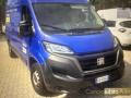 usato FIAT Ducato