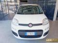 usato FIAT Panda