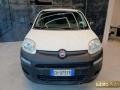 usato FIAT Panda