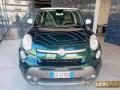 usato FIAT 500L