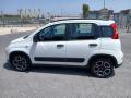 usato FIAT Panda