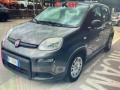 usato FIAT Panda