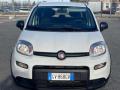 usato FIAT Panda