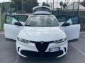 usato ALFA ROMEO Tonale