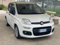 usato FIAT Panda