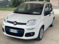 usato FIAT Panda