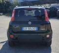 usato FIAT Panda