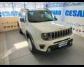 usato JEEP Renegade