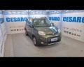 usato FIAT New Panda