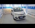 usato FIAT New Panda