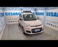 usato FIAT New Panda