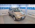 usato FIAT Panda