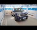 usato JEEP Renegade