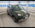 usato FIAT New Panda
