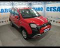 usato FIAT New Panda
