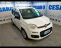usato FIAT New Panda
